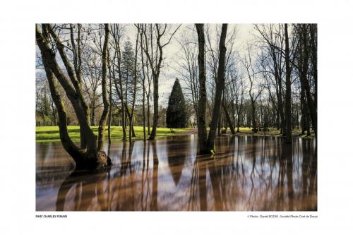 SPCD Arbres-Douai 120x80 pays14def 4