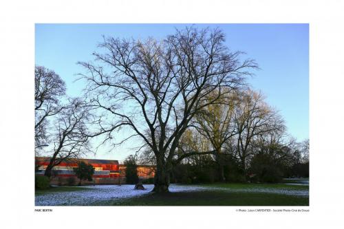 SPCD Arbres-Douai 120x80 pays14def 6