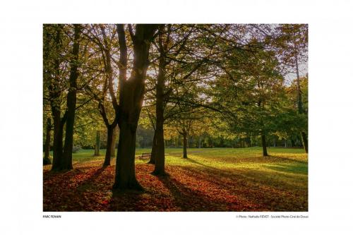 SPCD Arbres-Douai 120x80 pays14def 7