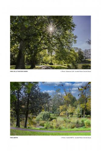 SPCD Arbres-Douai 120x80 portr14def 