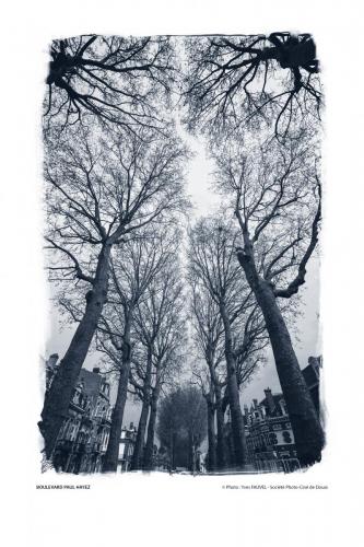 SPCD Arbres-Douai 120x80 portr14def 12