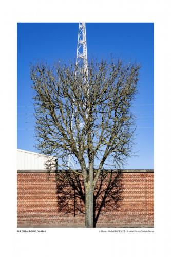 SPCD Arbres-Douai 120x80 portr14def 14
