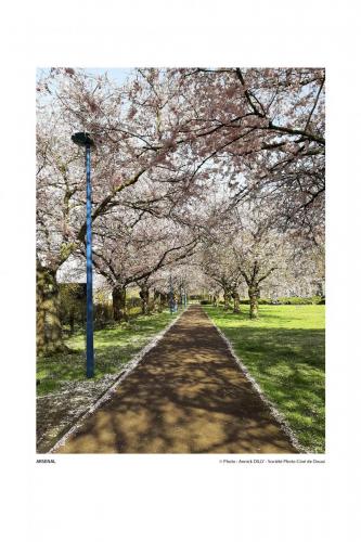 SPCD Arbres-Douai 120x80 portr14def 2