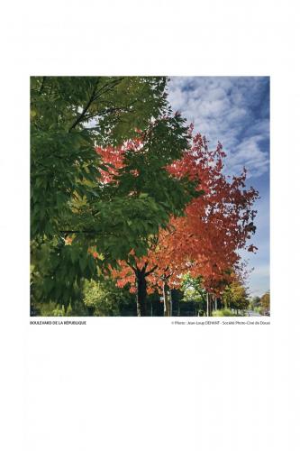 SPCD Arbres-Douai 120x80 portr14def 6