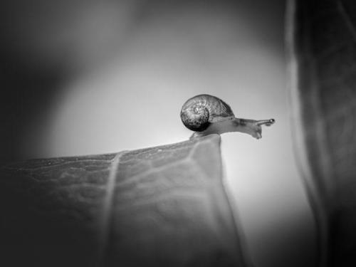Fabienne Clin