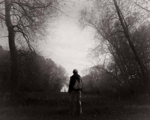 Yves Fauvel